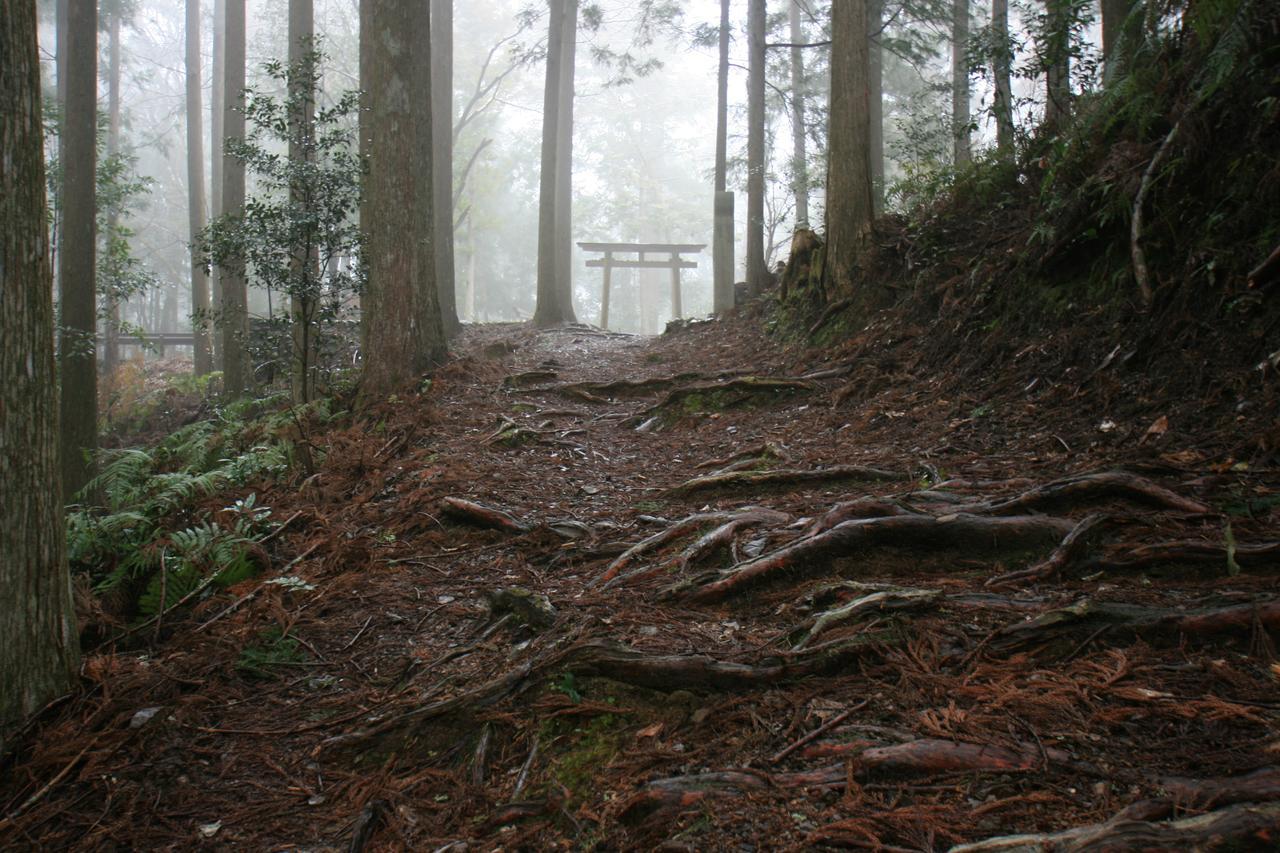 Watarase Onsen Hotel Yamayuri Hongu Eksteriør bilde
